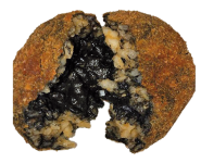 Arancino nero di seppia